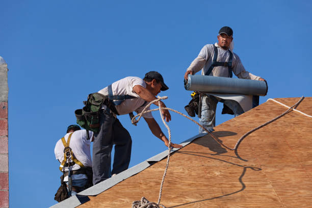 Best Roof Gutter Cleaning  in Bradley Gardens, NJ