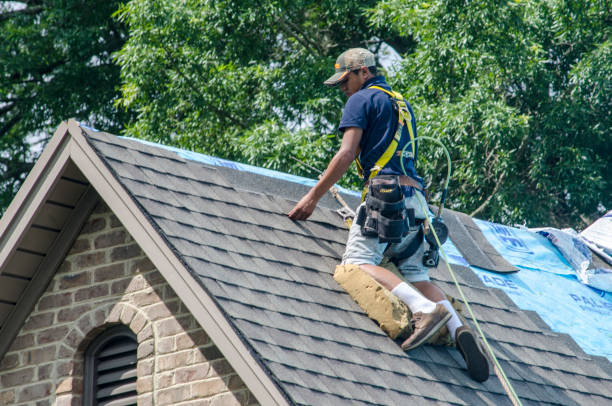 Best Local Roofing Companies  in Bradley Gardens, NJ